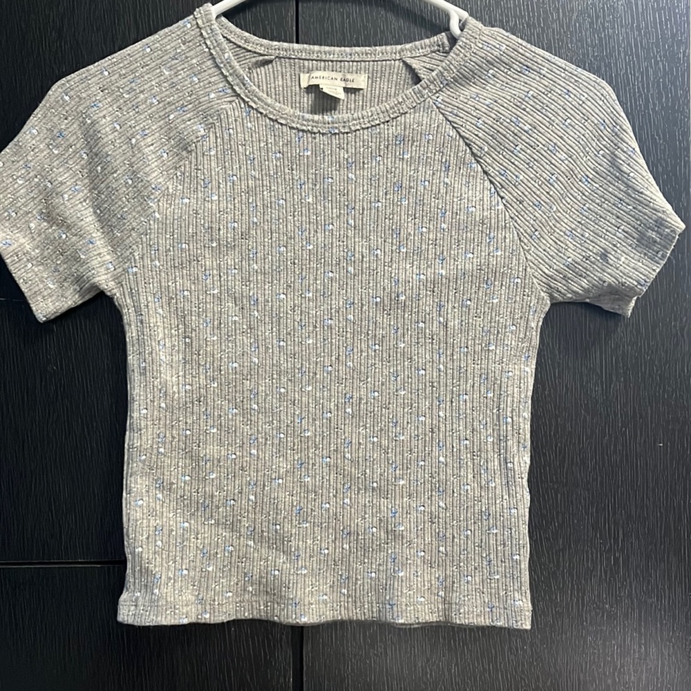 American Eagle Cropped Fitted Tee